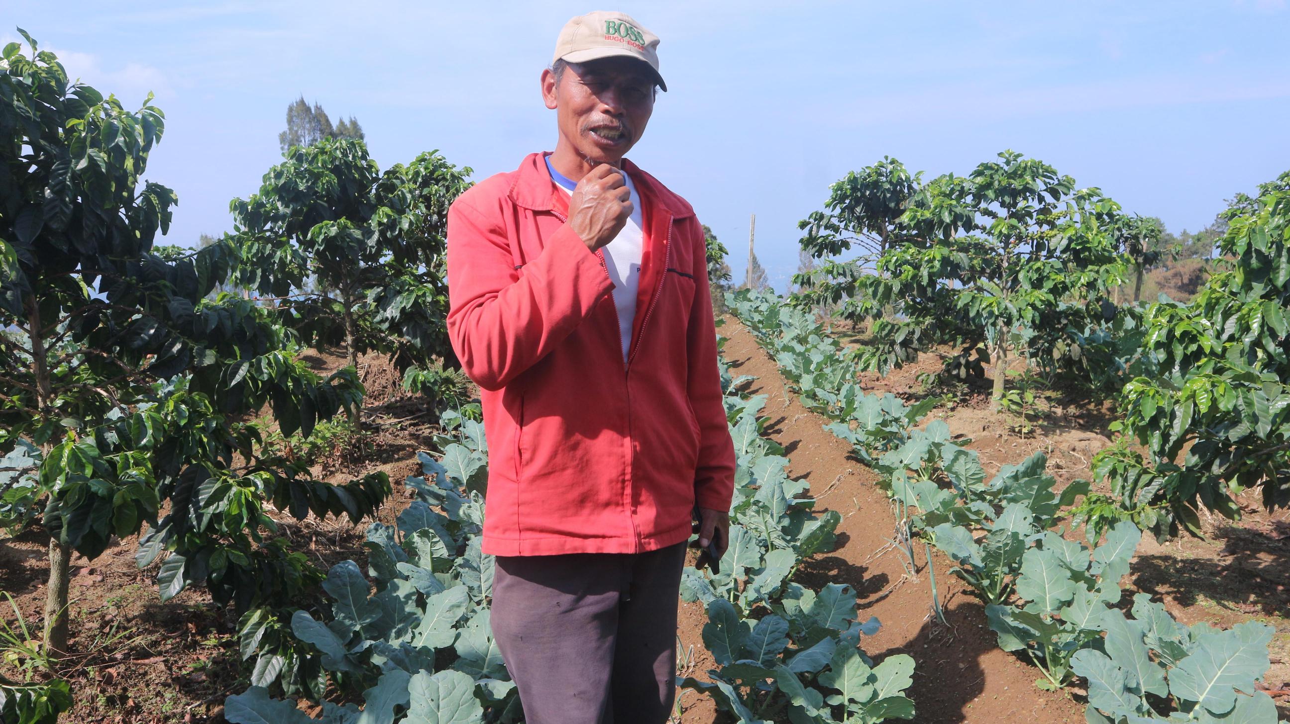 Beyond the Landscape, Meeting Bapak Barji in Ngaduman Village